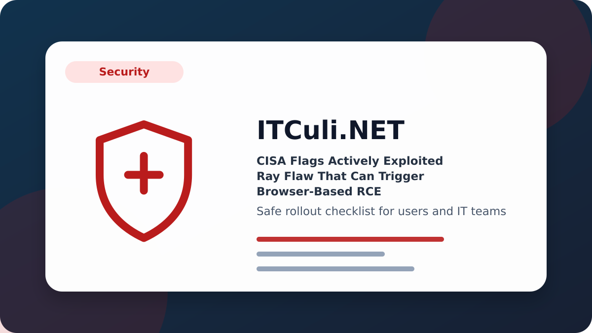 CISA Flags checklist